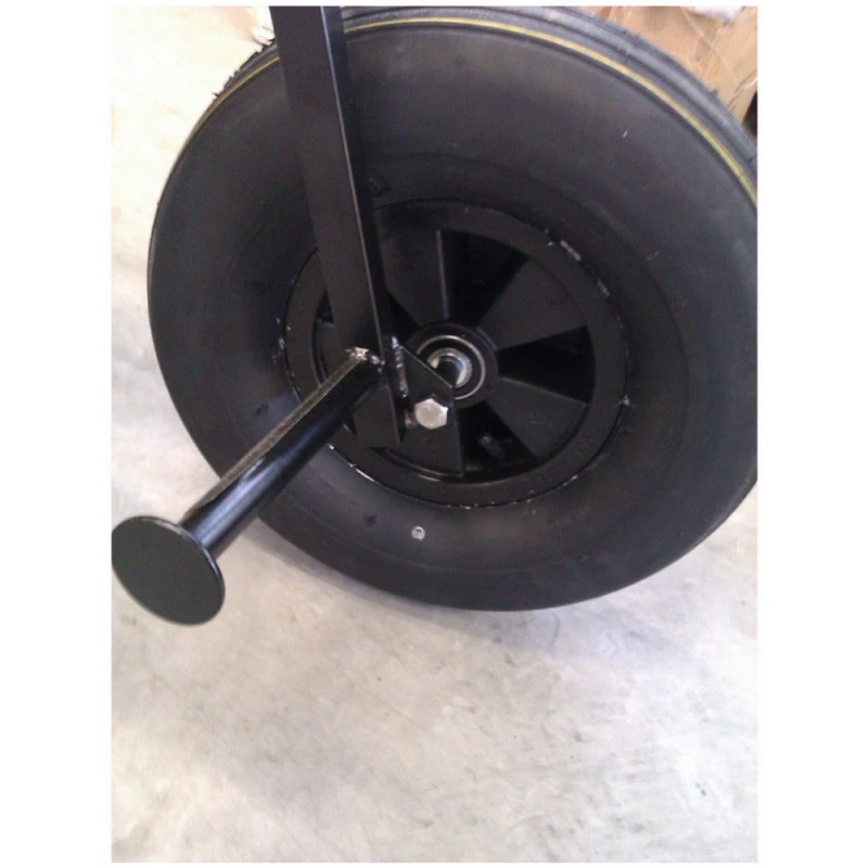 BUGGY LIBRE ZEBRA ROUES STANDARD 3 BUGGY LIBRE ZEBRA ROUES STANDARD – Image 3