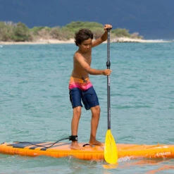 PAGAIE FANATIC RIPPER CARBON 25 VARIO 6.5 9 PAGAIE FANATIC RIPPER CARBON 25 VARIO 6.5 -Nauti Games Boutique pagaie fanatic ripper carbon 25 vario 65 3